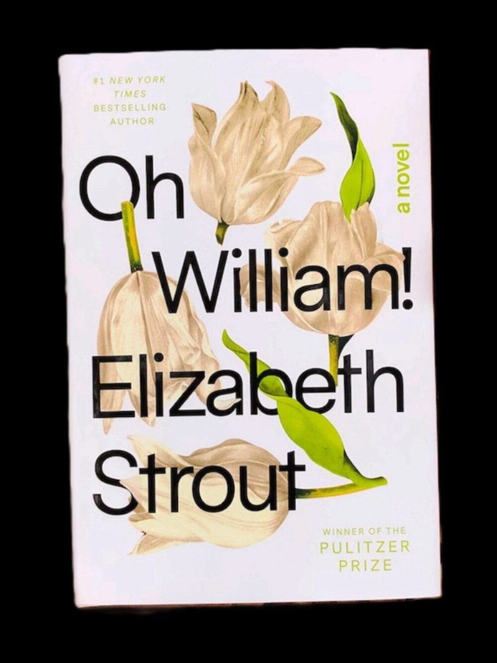 OH WILLIAM! Elizabeth Strout Hardcover Novel Gifting / Travel Reading / Vacation